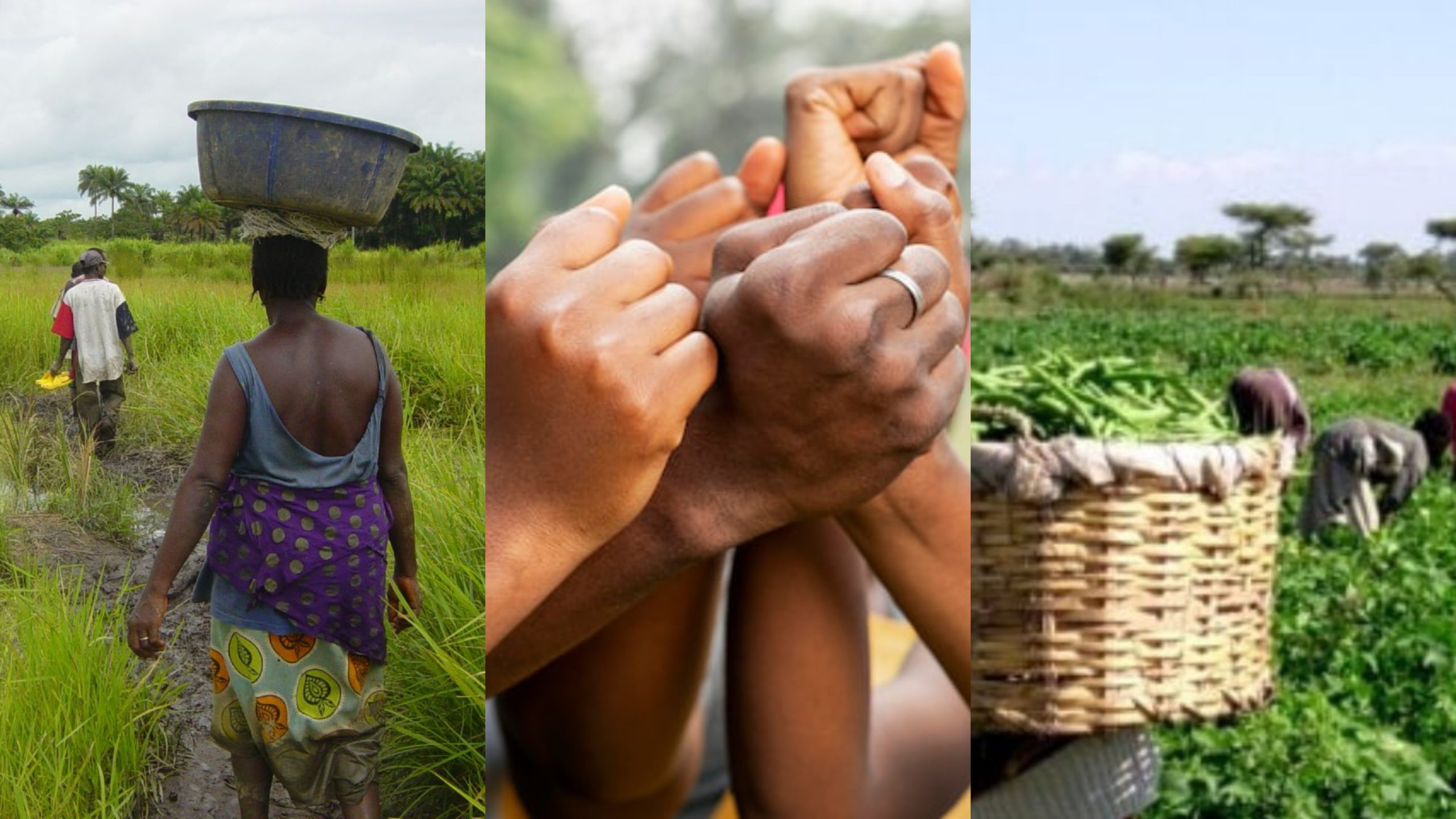 fondation kaling group