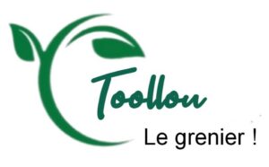 tollou group